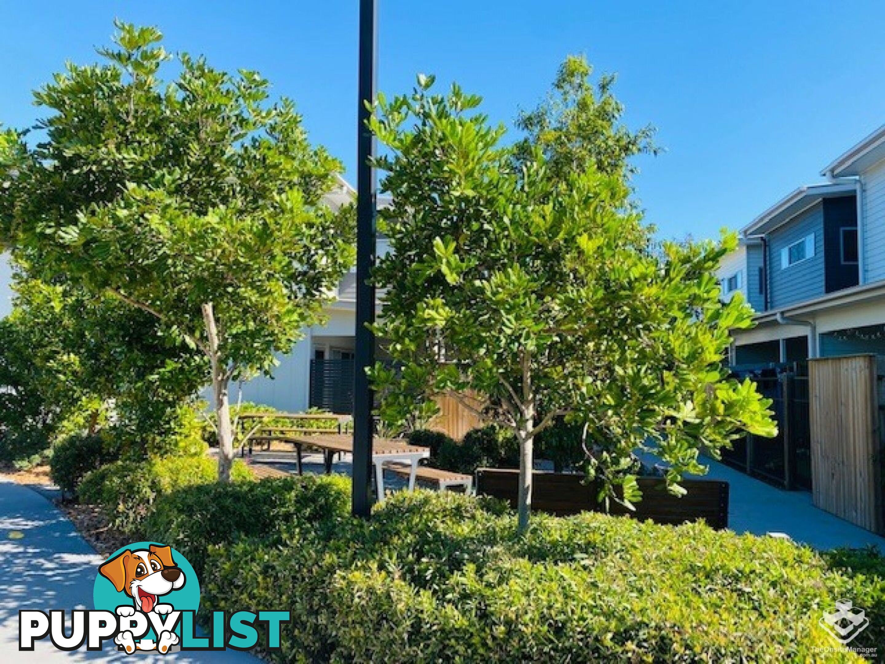 ID:21155192 1A Regatta Boulevard Wurtulla QLD 4575