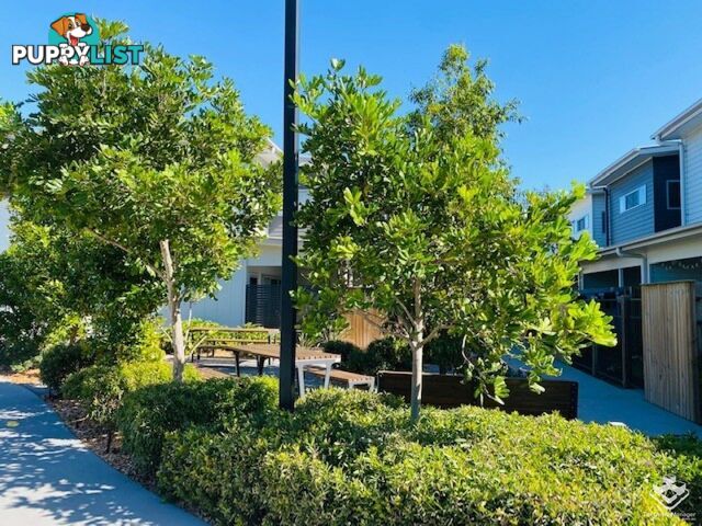 ID:21155192 1A Regatta Boulevard Wurtulla QLD 4575