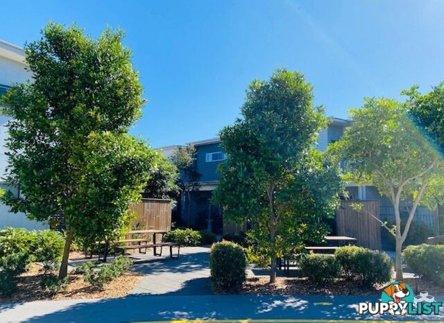 ID:21155192 1A Regatta Boulevard Wurtulla QLD 4575