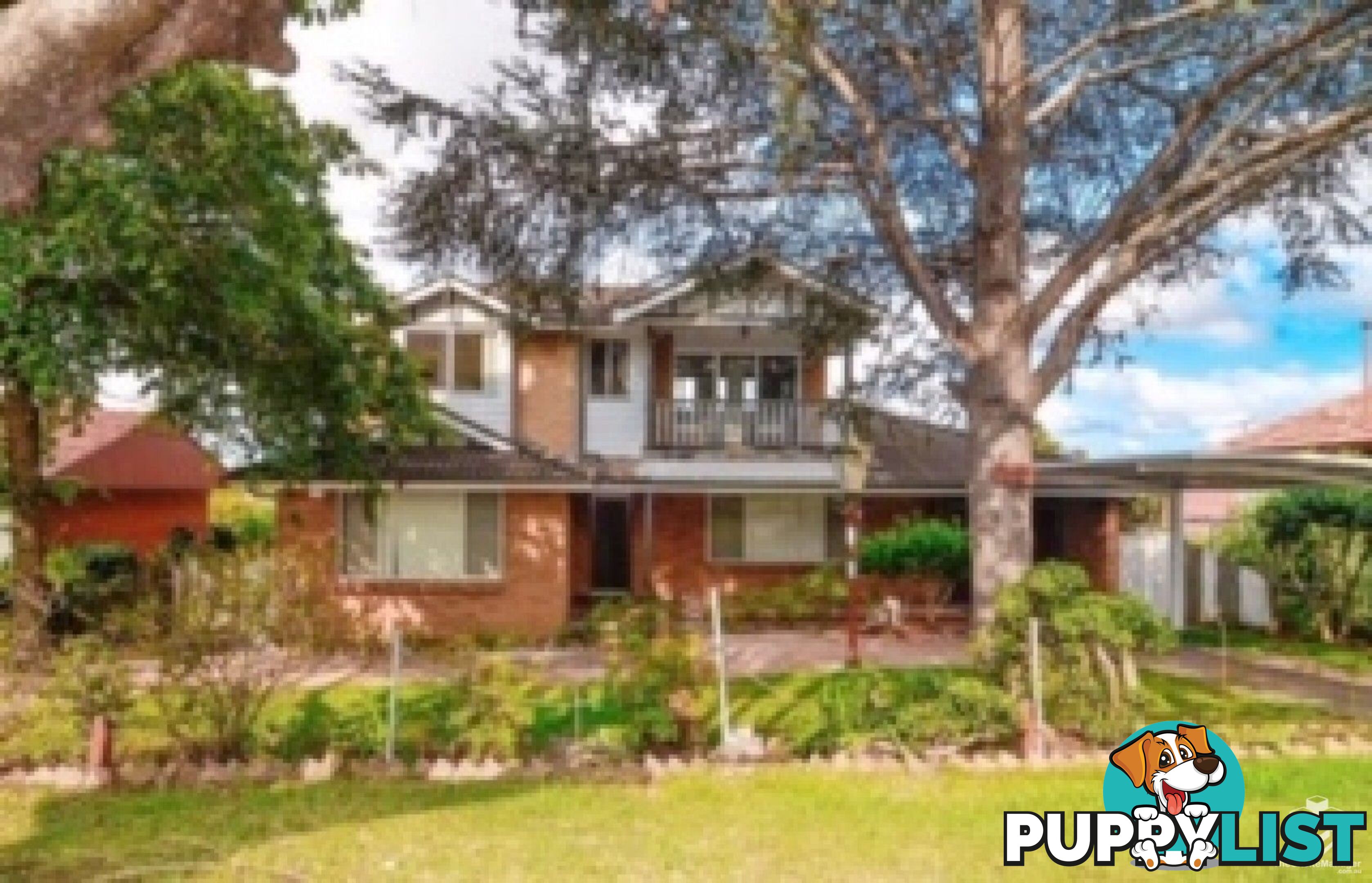 55 Tarrants Ave Eastwood NSW 2122