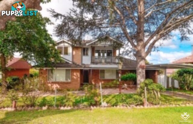 55 Tarrants Ave Eastwood NSW 2122