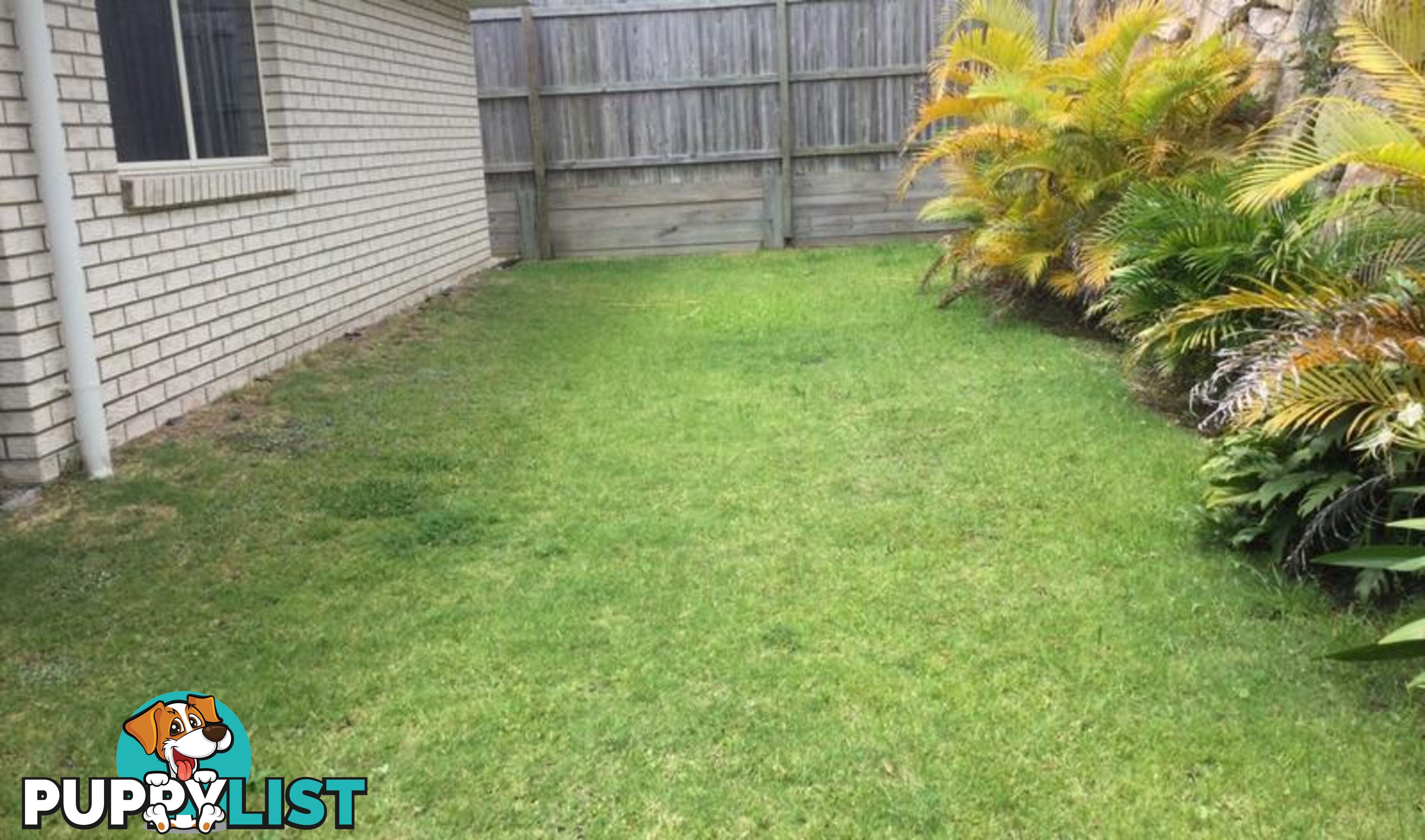 24 Hazel Street Pimpama QLD 4209