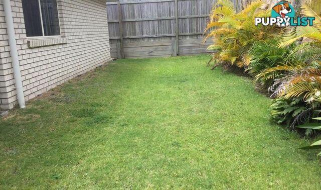 24 Hazel Street Pimpama QLD 4209