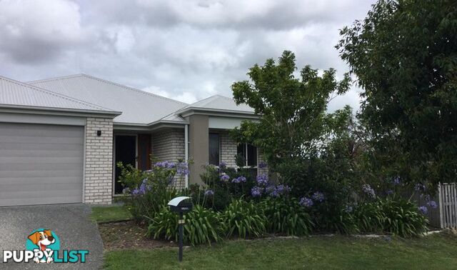 24 Hazel Street Pimpama QLD 4209