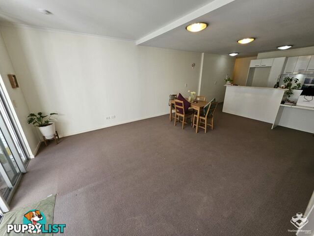 ID:21158868 43 Beeston Street Teneriffe QLD 4005