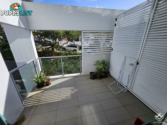 ID:21158868 43 Beeston Street Teneriffe QLD 4005
