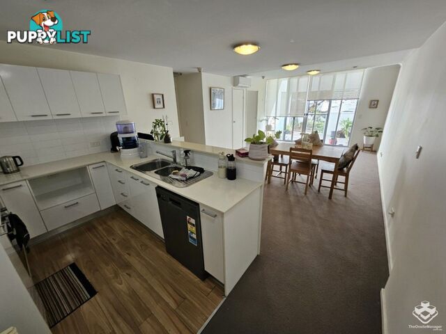 ID:21158868 43 Beeston Street Teneriffe QLD 4005