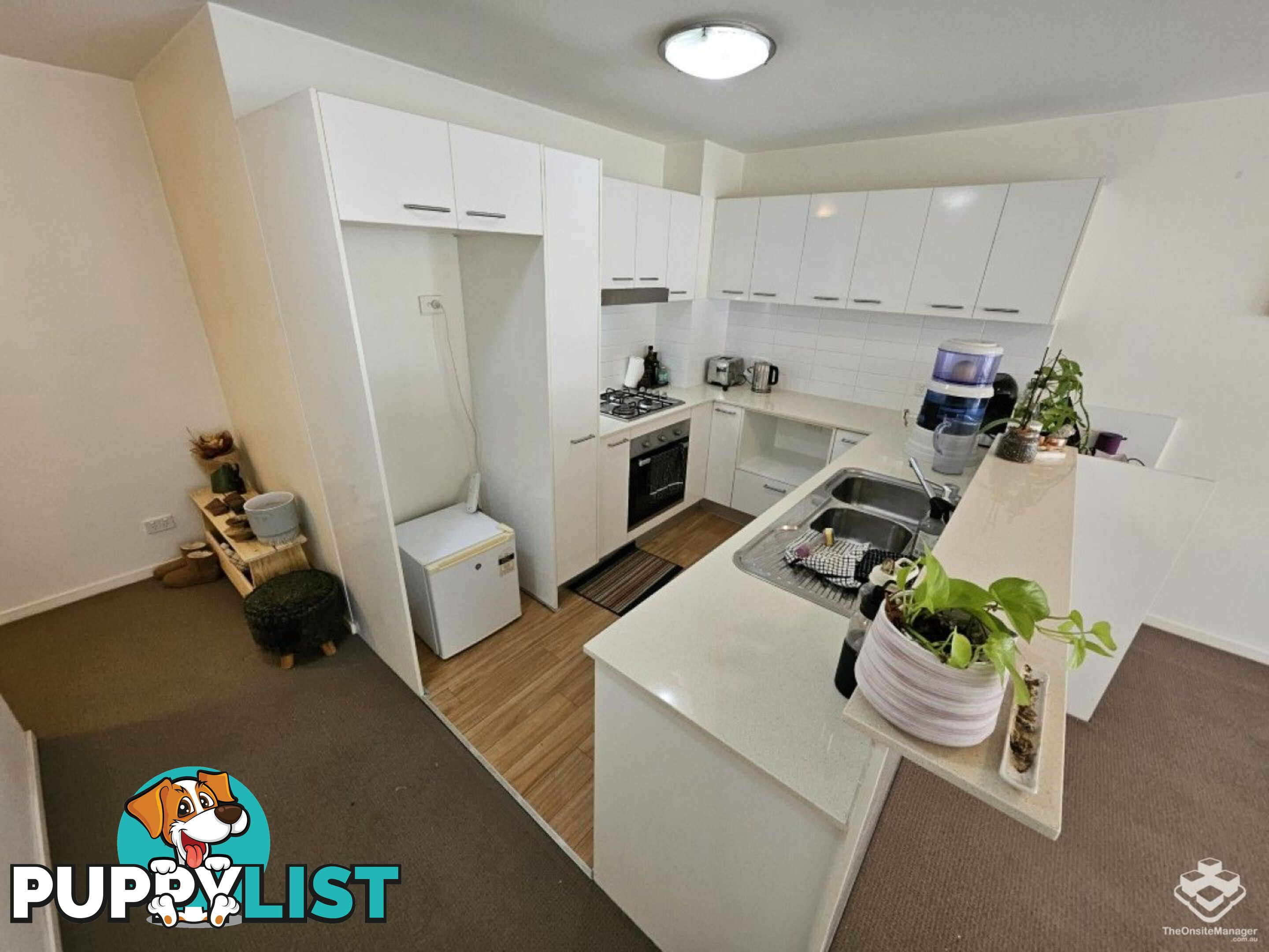 ID:21158868 43 Beeston Street Teneriffe QLD 4005
