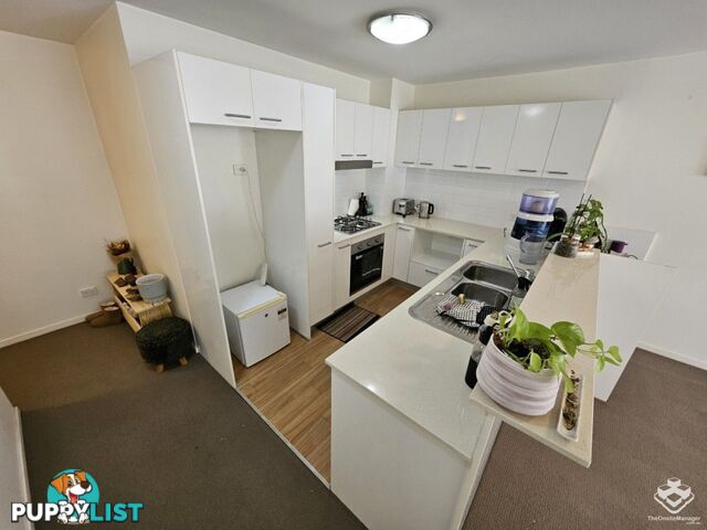 ID:21158868 43 Beeston Street Teneriffe QLD 4005