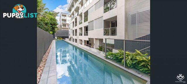 ID:21158868 43 Beeston Street Teneriffe QLD 4005