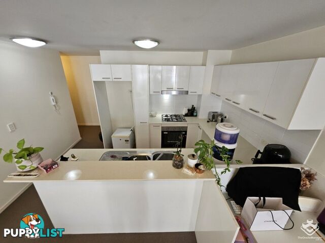 ID:21158868 43 Beeston Street Teneriffe QLD 4005