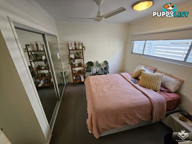 ID:21158868 43 Beeston Street Teneriffe QLD 4005