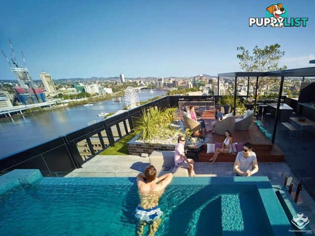 ID:21066013 77 Grey Street South Brisbane QLD 4101