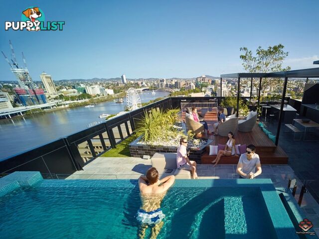 ID:21066013 77 Grey Street South Brisbane QLD 4101