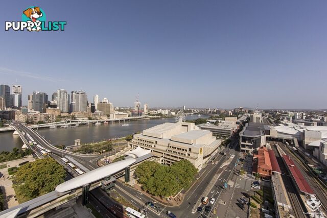 ID:21066013 77 Grey Street South Brisbane QLD 4101