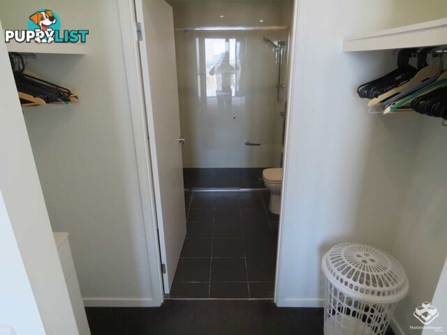 ID:21066013 77 Grey Street South Brisbane QLD 4101