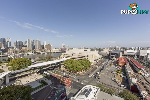 ID:21066013 77 Grey Street South Brisbane QLD 4101