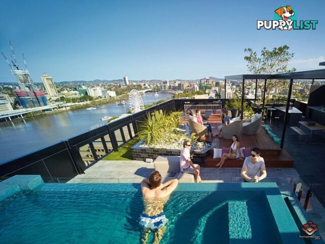 ID:21066013 77 Grey Street South Brisbane QLD 4101