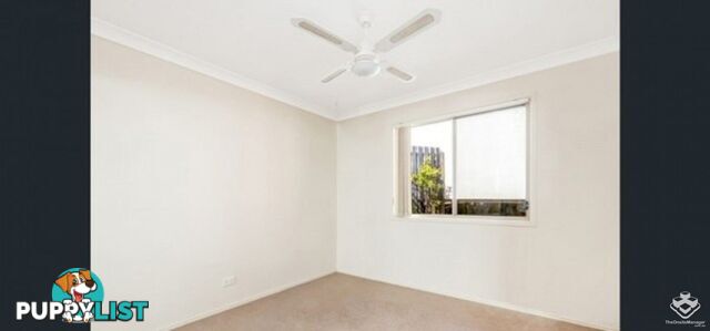 67/13 Springfield College Drive Springfield QLD 4300