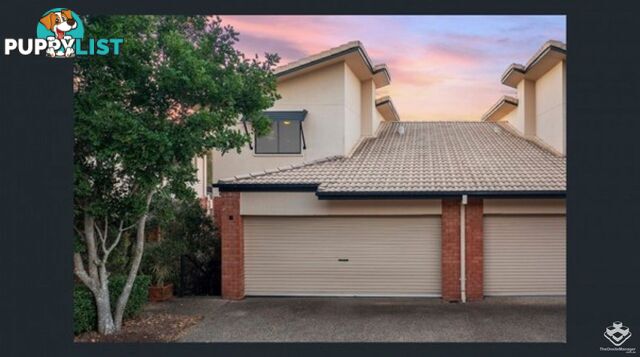 67/13 Springfield College Drive Springfield QLD 4300