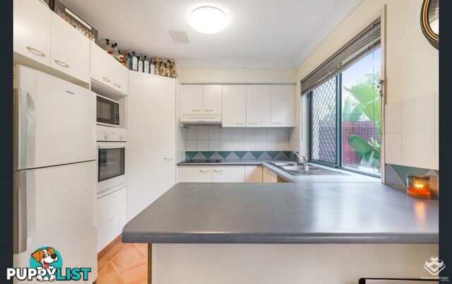 ID:21155342 28 Ancona Street Carrara QLD 4211