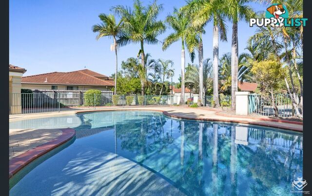ID:21155342 28 Ancona Street Carrara QLD 4211