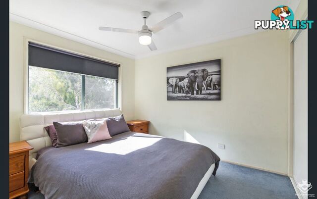 ID:21155342 28 Ancona Street Carrara QLD 4211