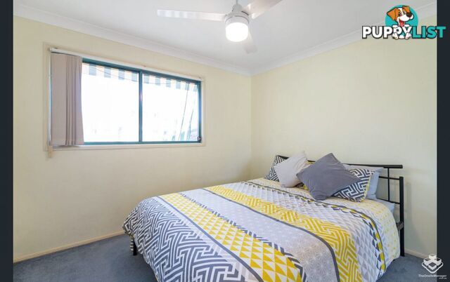 ID:21155342 28 Ancona Street Carrara QLD 4211