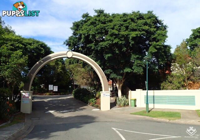 ID:21155342 28 Ancona Street Carrara QLD 4211
