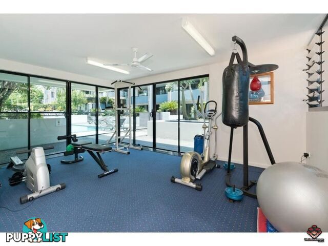 ID:3897561/26 Holland Street Toowong QLD 4066