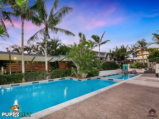 ID:3897561/26 Holland Street Toowong QLD 4066