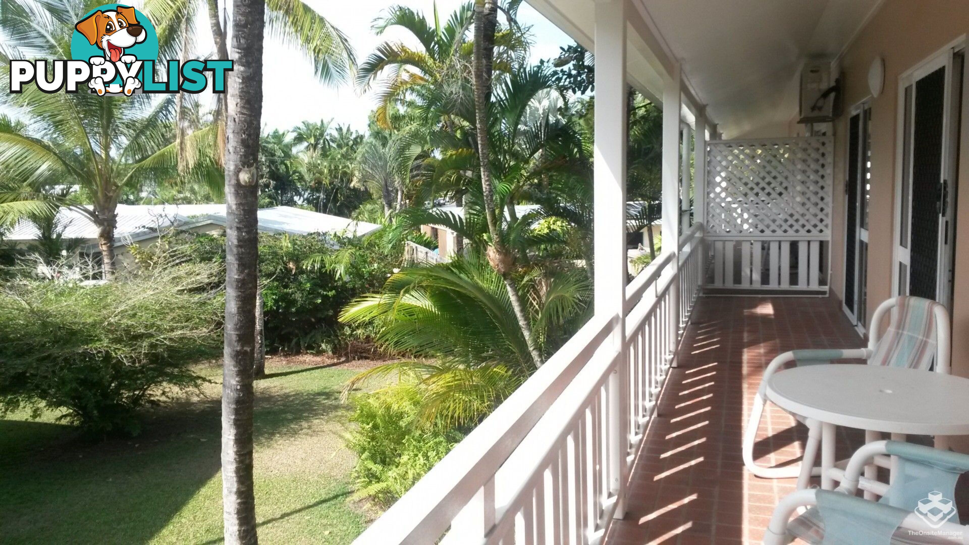 ID:21126574/31 Nautilus Street Port Douglas QLD 4877