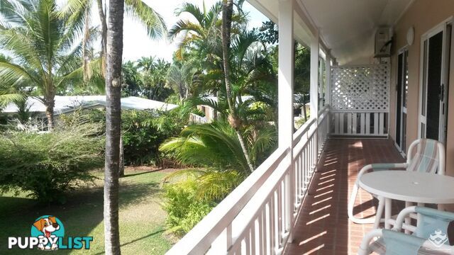 ID:21126574/31 Nautilus Street Port Douglas QLD 4877