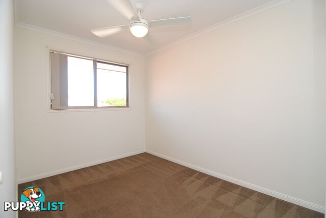 ID:21157392 17 Yaun Street Coomera QLD 4209