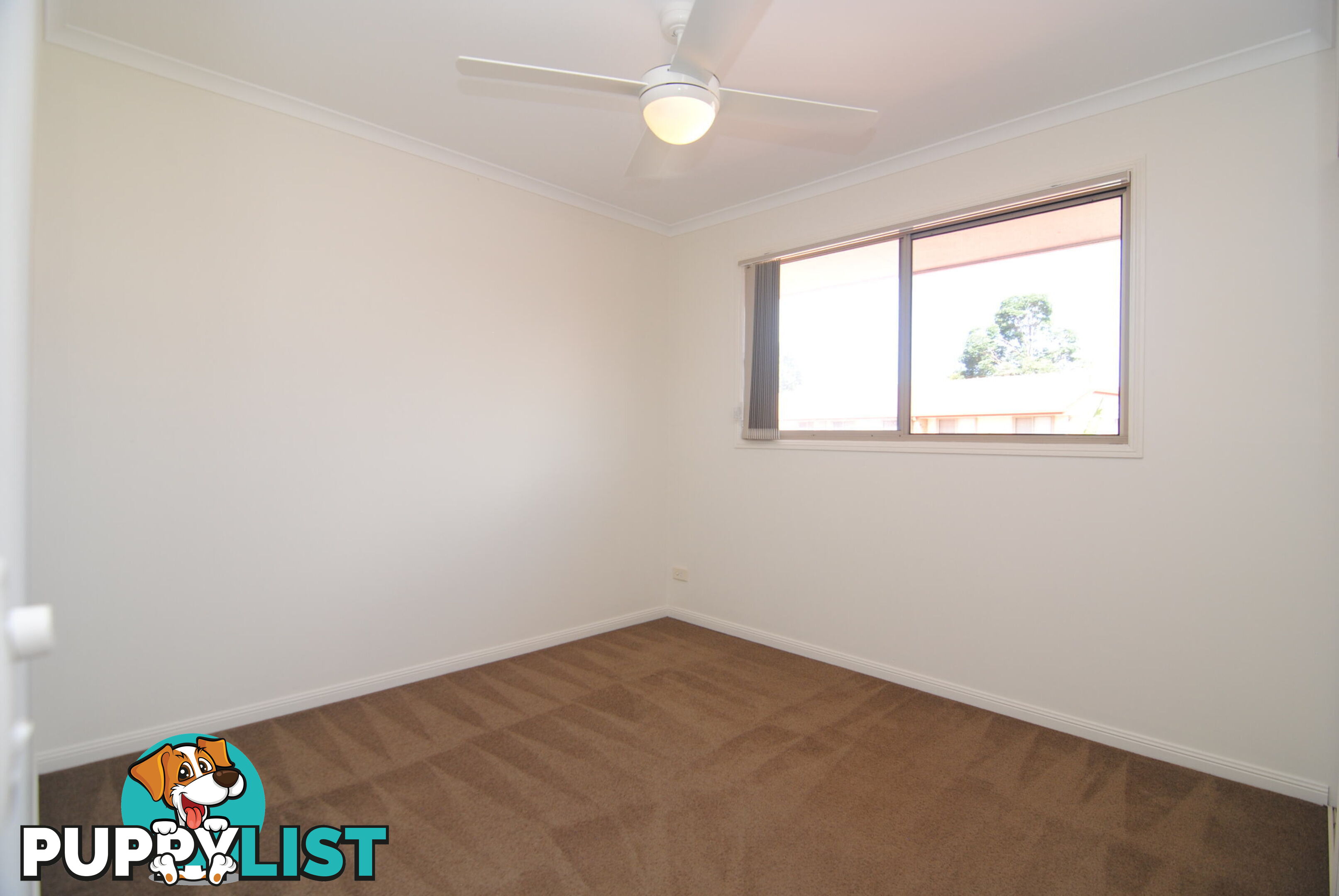 ID:21157392 17 Yaun Street Coomera QLD 4209