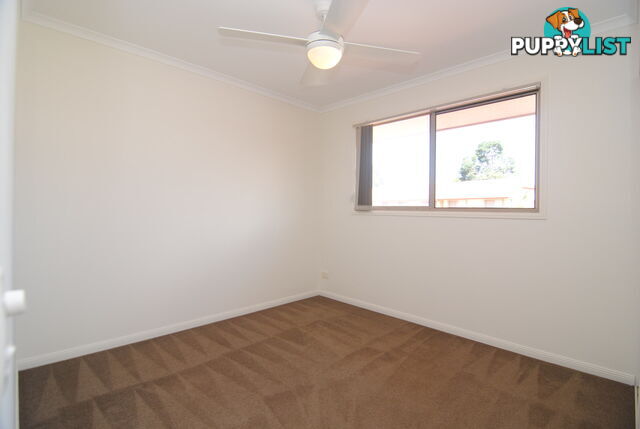 ID:21157392 17 Yaun Street Coomera QLD 4209