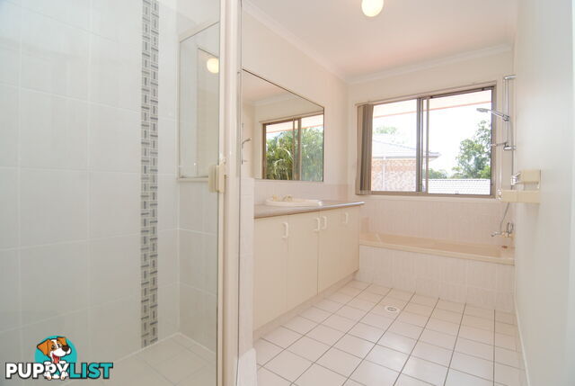 ID:21157392 17 Yaun Street Coomera QLD 4209