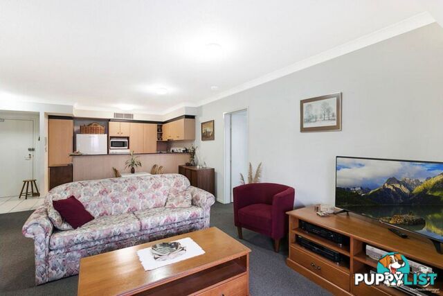 ID:21157592 45 Deakin Street Kangaroo Point QLD 4169