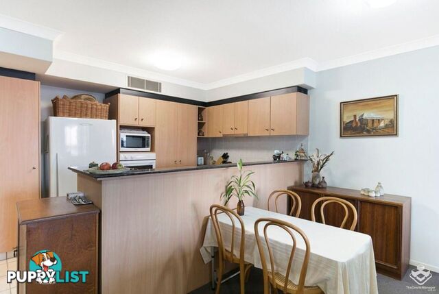 ID:21157592 45 Deakin Street Kangaroo Point QLD 4169