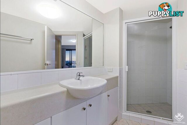 ID:21157592 45 Deakin Street Kangaroo Point QLD 4169