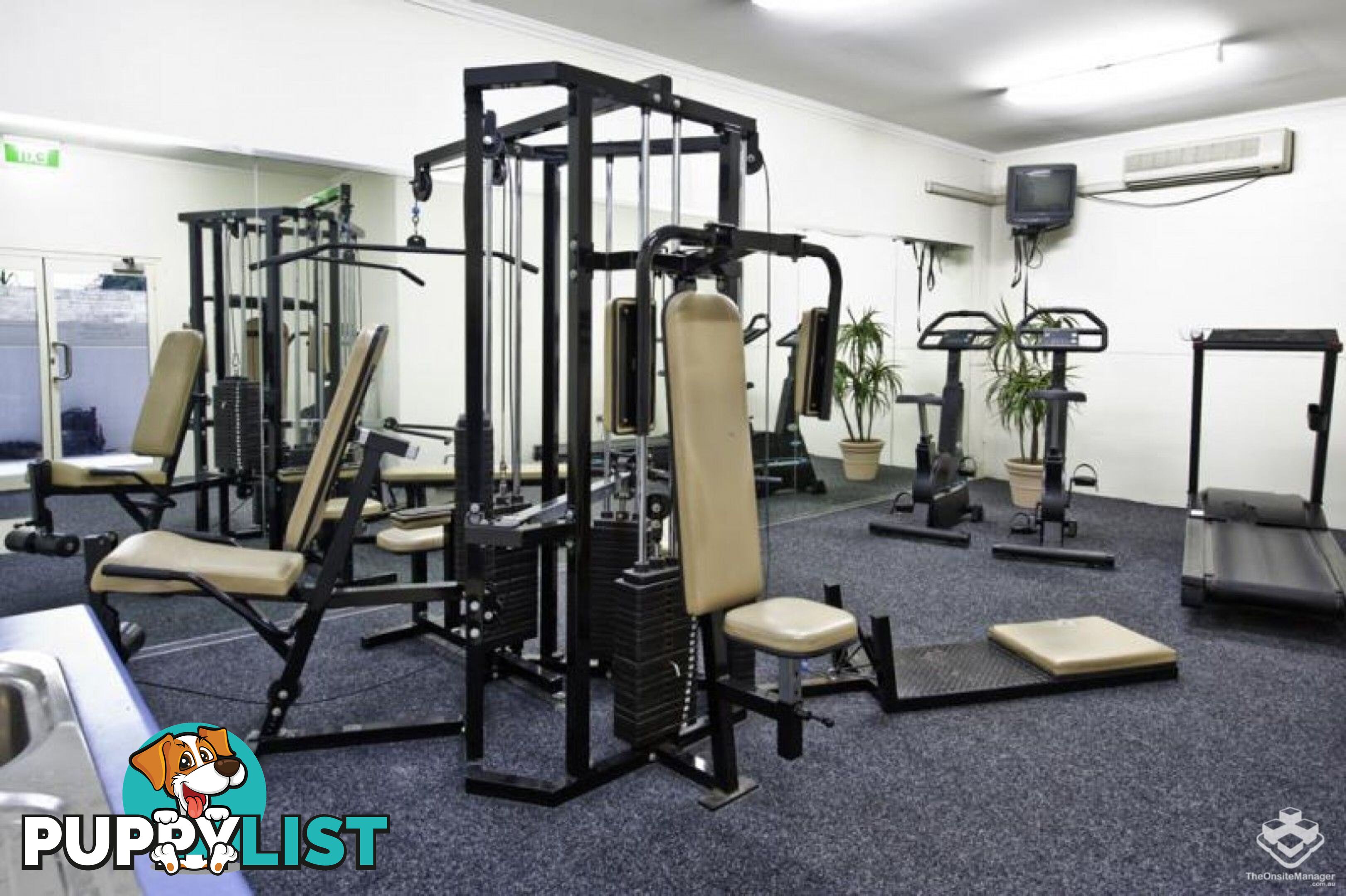 216/19-25 Leonard St Waitara NSW 2077