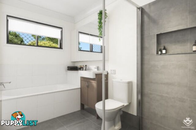 60/100 Stodart Terrace Mango Hill QLD 4509