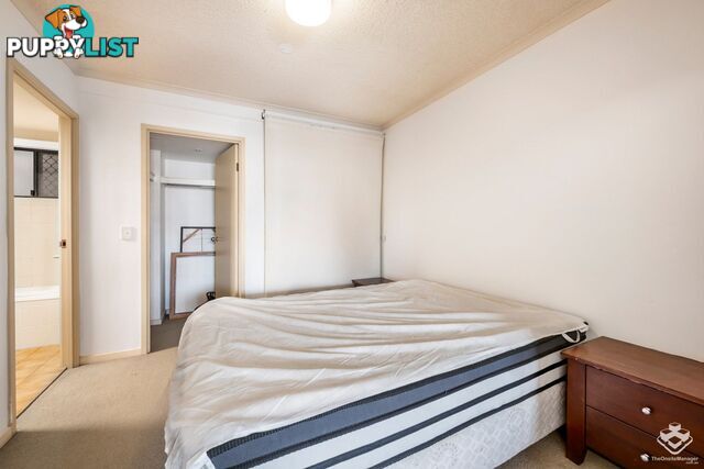 314/20 Malt Street FORTITUDE VALLEY QLD 4006