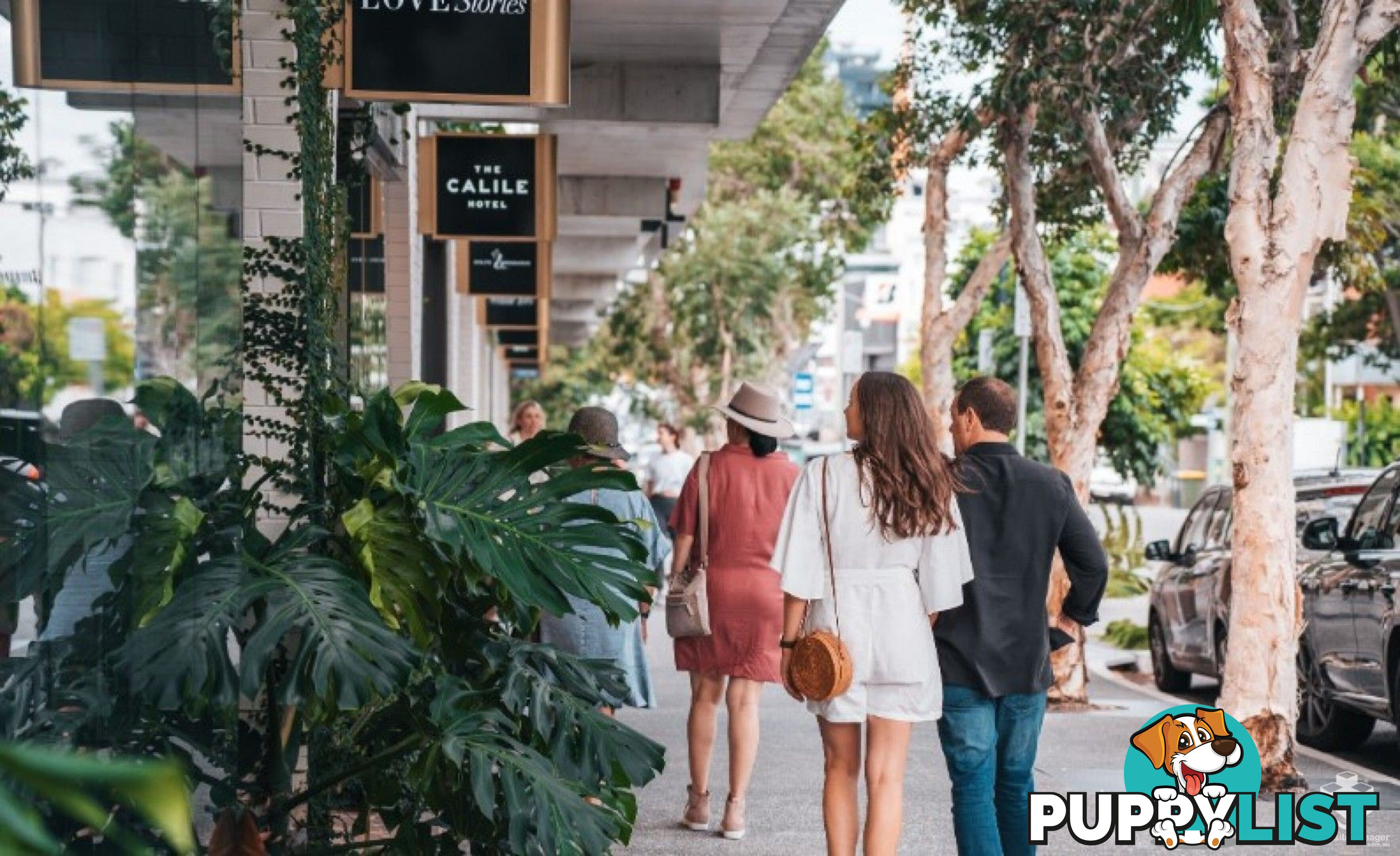 314/20 Malt Street FORTITUDE VALLEY QLD 4006