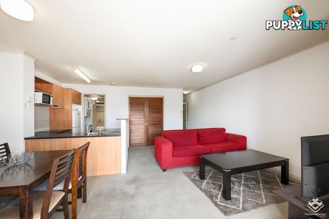 314/20 Malt Street FORTITUDE VALLEY QLD 4006