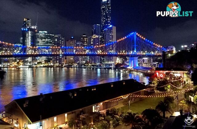 314/20 Malt Street FORTITUDE VALLEY QLD 4006