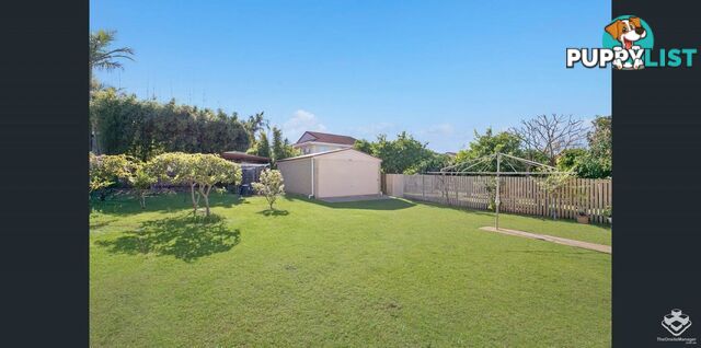 9 Marla Street Robertson QLD 4109