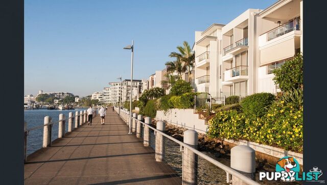 ID:21154291 38 Skyring Terrace Teneriffe QLD 4005