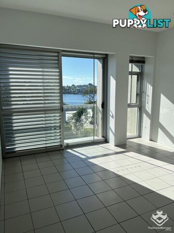 ID:21154291 38 Skyring Terrace Teneriffe QLD 4005
