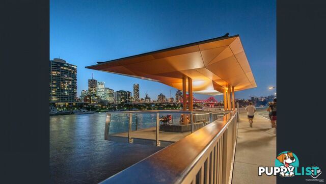 ID:21154291 38 Skyring Terrace Teneriffe QLD 4005